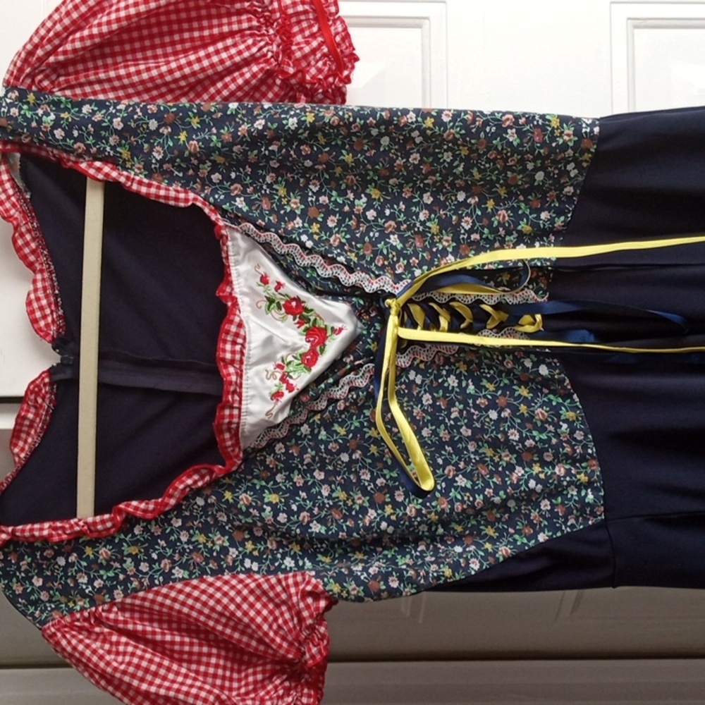 German Dirndl dress costume women's